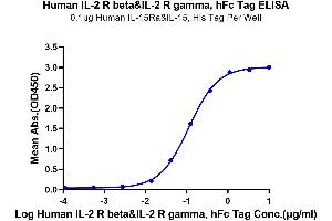 ELISA image for IL-2 R beta & IL-2 R gamma (AA 27-240) protein (Fc Tag) (ABIN7275026)