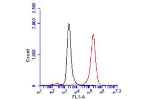 FACS Image CD81 antibody , detects CD81 protein by flow cytometry analysis. (CD81 anticorps)