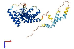AlphaFold protein structure predicition of Mouse Recombinant Sgta Protein, UniprotID Q8BJU0