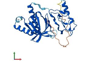 AlphaFold protein structure predicition of Human Recombinant PLEKHF2 Protein, UniprotID Q9H8W4
