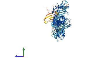 AlphaFold protein structure predicition of Human Recombinant ERVK-11 Protein, UniprotID Q9UQG0