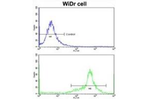 Flow Cytometry (FACS) image for anti-Insulin-Like Growth Factor Binding Protein 6 (IGFBP6) antibody (ABIN3002791)