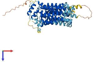 AlphaFold protein structure predicition of Mouse Recombinant Slc2a8 Protein, UniprotID Q9JIF3