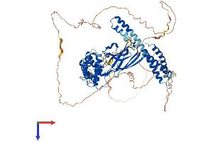 AlphaFold protein structure predicition of Human Recombinant GGA3 Protein, UniprotID Q9NZ52