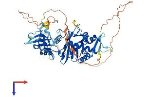 AlphaFold protein structure predicition of Mouse Recombinant Kat5 Protein, UniprotID Q8CHK4