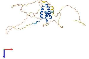 AlphaFold protein structure predicition of Human Recombinant SOX2 Protein, UniprotID P48431