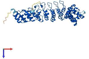 AlphaFold protein structure predicition of Human Recombinant ASB4 Protein, UniprotID Q9Y574