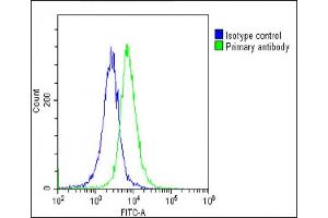 Overlay histogram showing HeLa cells stained with (ABIN6243115 and ABIN6578863)(green line).