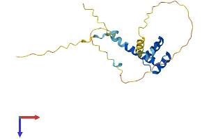 AlphaFold protein structure predicition of Mouse Recombinant Hesx1 Protein, UniprotID Q61658