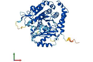 AlphaFold protein structure predicition of Human Recombinant TUBA4A Protein, UniprotID P68366
