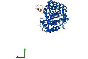 AlphaFold protein structure predicition of Mouse Recombinant Akr7a2 Protein, UniprotID Q8CG76
