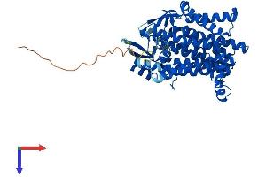 AlphaFold protein structure predicition of Human Recombinant DHCR7 Protein, UniprotID Q9UBM7