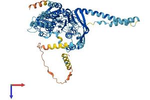 AlphaFold protein structure predicition of Mouse Recombinant Abcf2 Protein, UniprotID Q99LE6