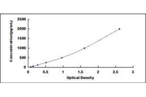 Typical standard curve (Laminin beta 1 Kit ELISA)