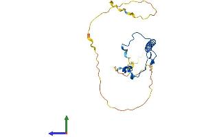 AlphaFold protein structure predicition of Mouse Recombinant Cdkn1b Protein, UniprotID P46414