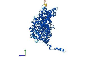 AlphaFold protein structure predicition of Human Recombinant ACOX1 Protein, UniprotID Q15067