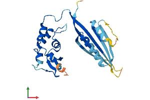 AlphaFold protein structure predicition of Mouse Recombinant Kctd6 Protein, UniprotID Q8BNL5