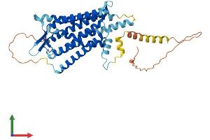 AlphaFold protein structure predicition of Human Recombinant TACR1 Protein, UniprotID P25103