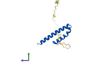 AlphaFold protein structure predicition of Mouse Recombinant Cdk2ap1 Protein, UniprotID O35207