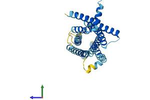 AlphaFold protein structure predicition of Human Recombinant TAS2R19 Protein, UniprotID P59542