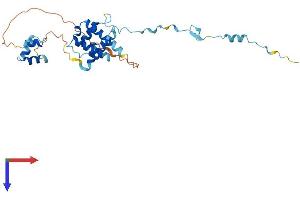 AlphaFold protein structure predicition of Mouse Recombinant Cuedc2 Protein, UniprotID Q9CXX9