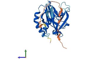 AlphaFold protein structure predicition of Human Recombinant NUDT8 Protein, UniprotID Q8WV74