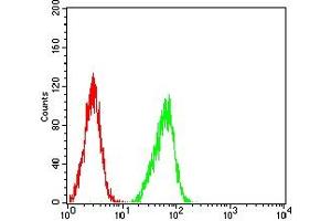 Flow cytometric analysis of Hela cells using SP10 mouse mAb (green) and negative control (red).