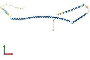 AlphaFold protein structure predicition of Mouse Recombinant Syce1 Protein, UniprotID Q9D495