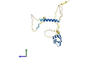 AlphaFold protein structure predicition of Mouse Recombinant Lysmd1 Protein, UniprotID Q9D0E3