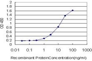 Detection limit for recombinant GST tagged GHRL is approximately 0. (Ghrelin anticorps  (AA 1-117))