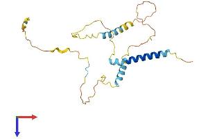 AlphaFold protein structure predicition of Mouse Recombinant Bnip3l Protein, UniprotID Q9Z2F7