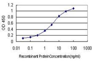 Detection limit for recombinant GST tagged D4S234E is approximately 0. (NSG1 anticorps  (AA 1-185))