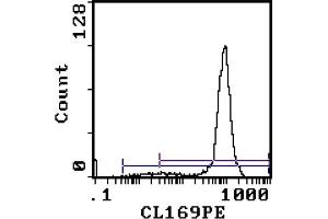 Flow Cytometry Analysis - Cell Source: Thymus Percentage of cells stained above control: 93. (CD8 anticorps  (PE))