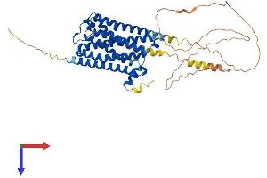 AlphaFold protein structure predicition of Mouse Recombinant Chrm2 Protein, UniprotID Q9ERZ4