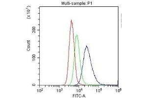 Flow Cytometry analysis of U937 cells using anti-CD33 antibody .