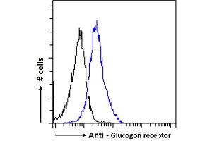 ABIN334409 Flow cytometric analysis of paraformaldehyde fixed HeLa cells (blue line), permeabilized with 0. (Glucagon Receptor anticorps  (Internal Region))