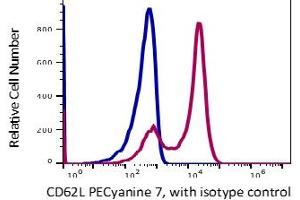 Image no. 2 for anti-Selectin L (SELL) antibody (PE-Cy7) (ABIN5067774) (L-Selectin anticorps  (PE-Cy7))