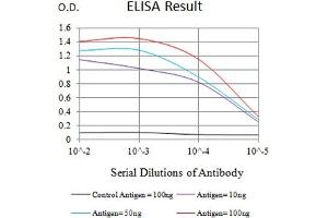 Black line: Control Antigen (100 ng),Purple line: Antigen (10 ng), Blue line: Antigen (50 ng), Red line:Antigen (100 ng) (ATG4A anticorps  (AA 258-398))