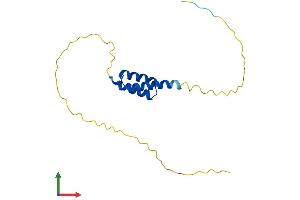 AlphaFold protein structure predicition of Human Recombinant ERICH2 Protein, UniprotID A1L162