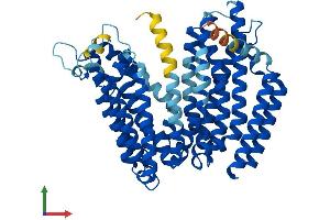 AlphaFold protein structure predicition of Mouse Recombinant Rft1 Protein, UniprotID Q8C3B8