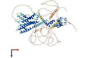 AlphaFold protein structure predicition of Mouse Recombinant Kcnb1 Protein, UniprotID Q03717