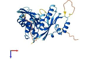 AlphaFold protein structure predicition of Mouse Recombinant Rwdd2a Protein, UniprotID Q9D9S3