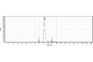 anti-IGF1R (Figitumumab Biosimilar) antibody