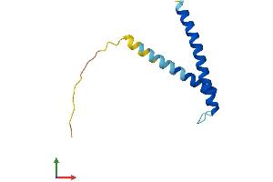 AlphaFold protein structure predicition of Mouse Recombinant Timm13 Protein, UniprotID P62075