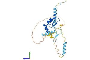 AlphaFold protein structure predicition of Mouse Recombinant Scnm1 Protein, UniprotID Q8K136