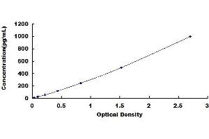Typical standard curve