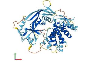 AlphaFold protein structure predicition of Human Recombinant GSDMA Protein, UniprotID Q96QA5