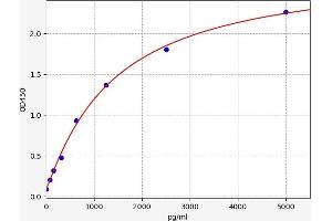 Matrix Metallopeptidase 8 (Neutrophil Collagenase) (MMP8) ELISA Kit