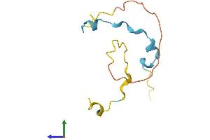 AlphaFold protein structure predicition of Mouse Recombinant Mllt11 Protein, UniprotID P97783