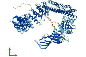 AlphaFold protein structure predicition of Mouse Recombinant Copg1 Protein, UniprotID Q9QZE5